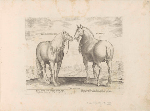 Stallion and mare from Rome, anonymous, 1624 - before 1648 Canvas Print