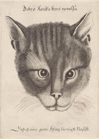 Head of a Cat, Wenceslaus Hollar, 1646 Canvas Print