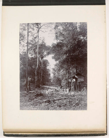 View along a road through the jungle, Sumatra (Weg aus dem Urwald), Carl J. Kleingrothe, c. 1885 - 1900 Canvas Print