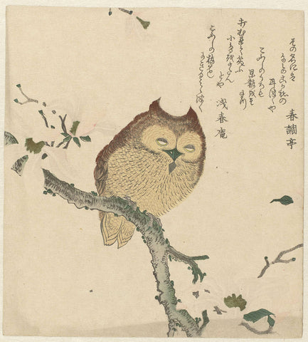 Owl on a Magnolia Branch, Kubota Shunman, c. 1890 - c. 1900 Canvas Print