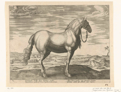 Horse from northern Italy (Insuber), Hendrick Goltzius (possibly), c. 1578 - c. 1582 Canvas Print