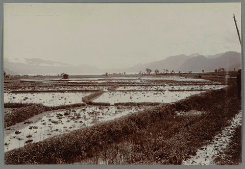 Rice fields near Takinguen, anonymous, 1903 - 1913 Canvas Print