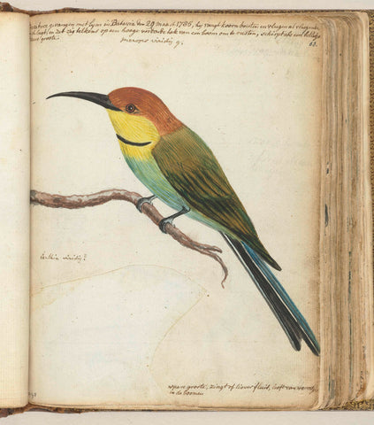 Small bird on branch, Jan Brandes, 1785 Canvas Print