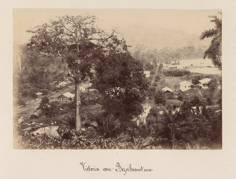 View of Victoria (Cameroon) from a district building, anonymous, 1899 Canvas Print