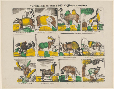 Various animals / Différens animaux, Glenisson & Sons, 1856 - 1900 Canvas Print