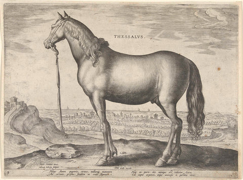 Horse from Thessaly (Thessalus), Hieronymus Wierix, c. 1583 - c. 1587 Canvas Print