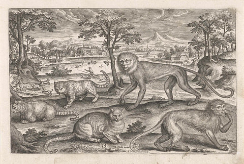 Monkeys and cats, Adriaen Collaert, 1595 - 1599 Canvas Print