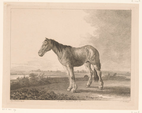 Standing horse in a river landscape, Adam von Bartsch, 1809 Canvas Print