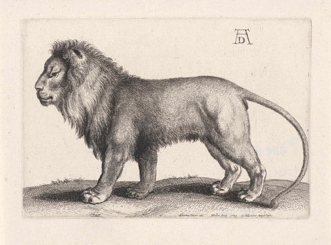 Staande leeuw, Wenceslaus Hollar, 1649 Canvas Print