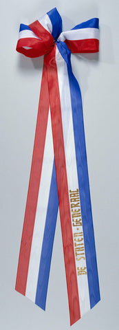 Ribbon 'De Staten Generaal', anonymous, 2000 Canvas Print