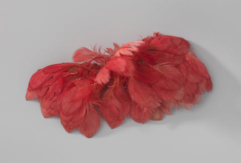 Toef rose chicken feathers, anonymous, c. 1875 - c. 1930 Canvas Print