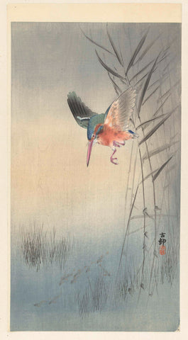 Kingfisher hunting fish, Ohara Koson, 1900 - 3619 Canvas Print