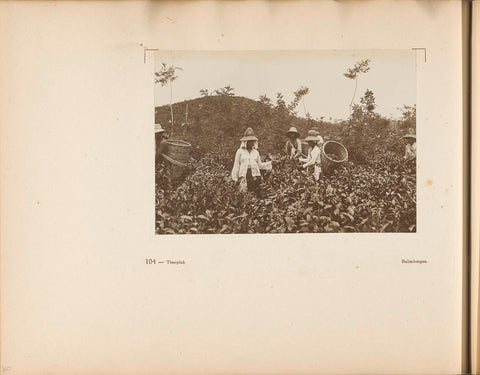 Page 104 of photo book of the General Association of Rubber Planters on the East Coast of Sumatra (AVROS), JW Meyster, c. 1924 - c. 1925 Canvas Print