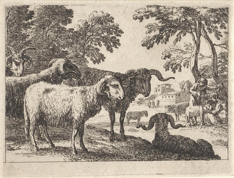 Rams, Herman van Swaneelt, 1636 - 1655 Canvas Print