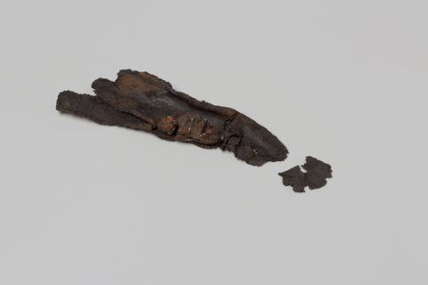 Fragment of a shoe from the wreck of the i 1735 faded East Indiesman 't Vliegend Hart, 1700 - 1735 Canvas Print