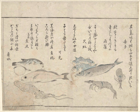 Sea creatures, Kitao Masayoshi, 1775 - 1824 Canvas Print