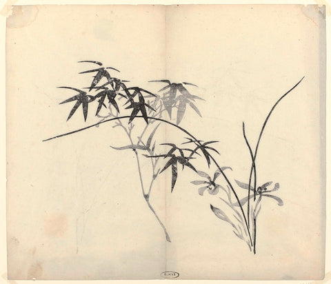 Bamboo and Orchids, anonymous, c. 1600 - c. 1625 Canvas Print