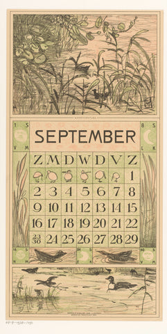 Calendar sheet September with waterfowl between the reeds, Theo van Hoytema, 1916 Canvas Print