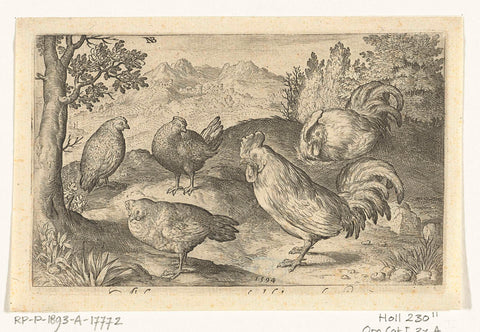 Three chickens and two roosters, Nicolaes de Bruyn, 1594 Canvas Print