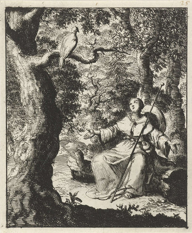 Female pilgrim sees a great crested pigeon in the forest, Jan Luyken, 1687 Canvas Print