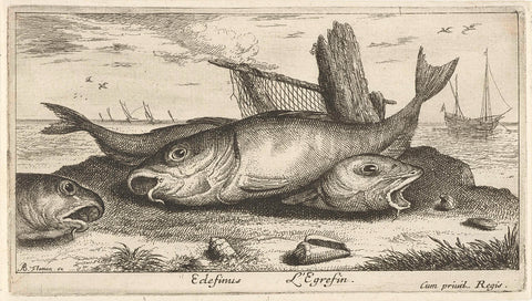 Three haddocks on the beach, Albert Flamen, 1664 Canvas Print