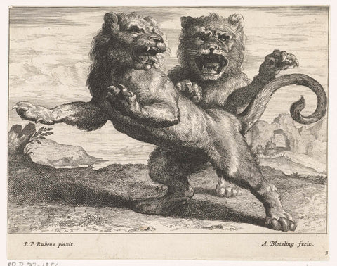 Two roaring lions, Abraham Bloteling, 1655 - 1690 Canvas Print