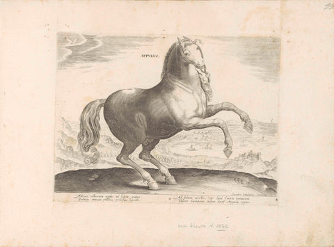 Horse from Southern Italy, anonymous, 1624 - before 1648 Canvas Print