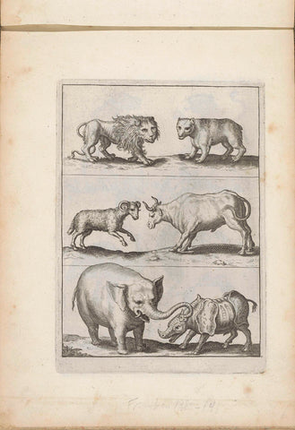 Lion, bear, goat, bull, elephant and rhinoceros, anonymous, 1635 - 1660 Canvas Print