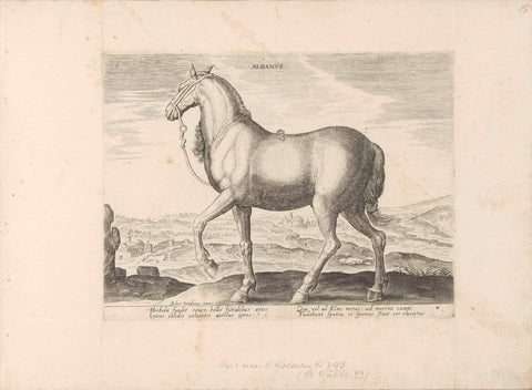 Horse from Albania, anonymous, 1624 - before 1648 Canvas Print
