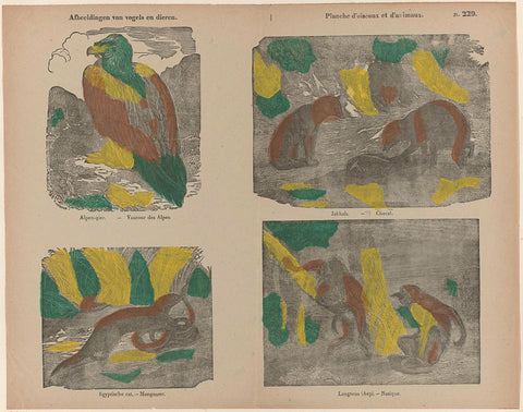 Images of animals and birds / Planche d'animaux et d'oiseaux, C. Leroux, 1800 - 1833 Canvas Print