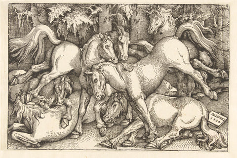 Group of seven fighting horses, Hans Baldung Grien, 1534 Canvas Print