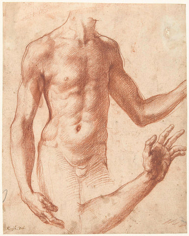 Study of a Torso, Perino del Vaga, c. 1511 - c. 1534 Canvas Print