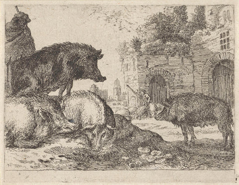 Pigs, Herman van Swanebert, 1636 - 1655 Canvas Print