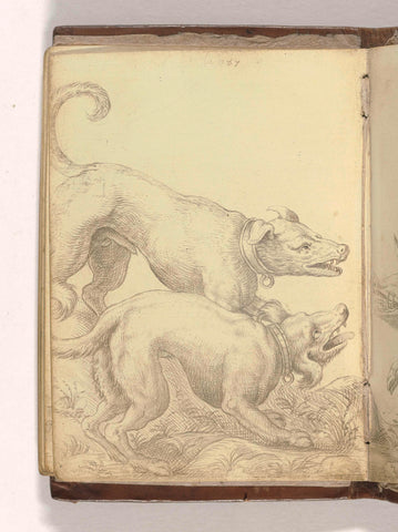 Two dogs, anonymous, 1586 Canvas Print