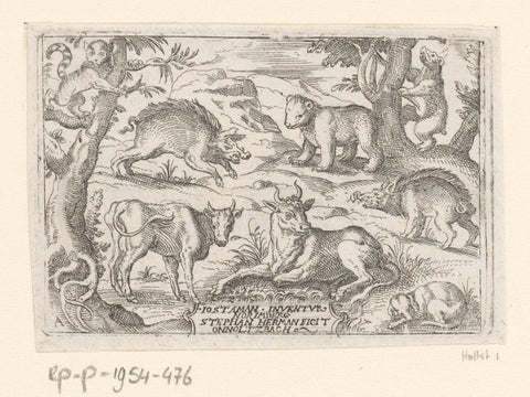 Two cows, two pigs, two bears, a dog and a cat, Stephan Herman, 1578 - 1596 Canvas Print