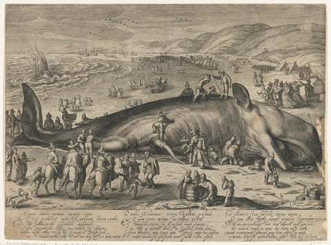 Whale stranded at Berckhey, 1598, Jacob Matham, 1598 Canvas Print