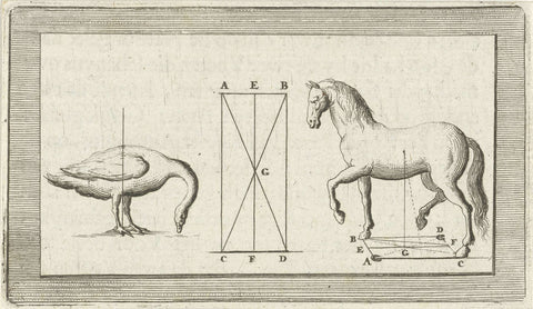 Image of a bird and a horse, Jan Luyken, 1682 Canvas Print