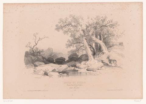 Rock landscape with water and two deer, Fortuné Férogio, 1845 - 1846 Canvas Print