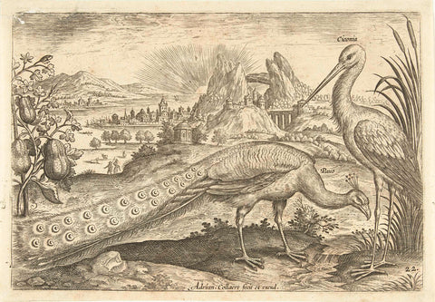 Two birds in a landscape, Adriaen Collaert, 1598 - 1602 Canvas Print