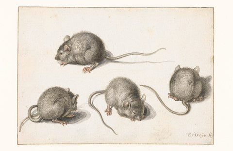 Four studies of a diseased mouse, Jacob de Gheyn (II), 1575 - 1625 Canvas Print