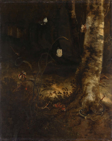 Forest Floor with a Snake, Lizards, Butterflies and other Insects, Otto Marseus van Schrieck, 1650 - 1678 Canvas Print