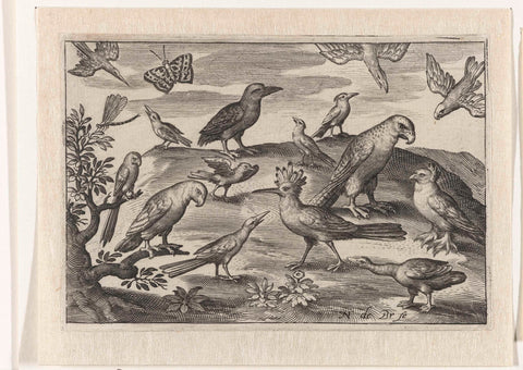 Hops and other birds, Nicolaes de Bruyn, 1594 Canvas Print