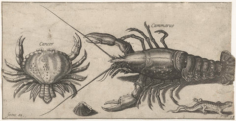 Lobster, crab, salamander and a shell, Pierre Firens, 1600 - 1638 Canvas Print