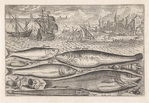 Five fish on the beach, Adriaen Collaert, 1627 - 1636 Canvas Print