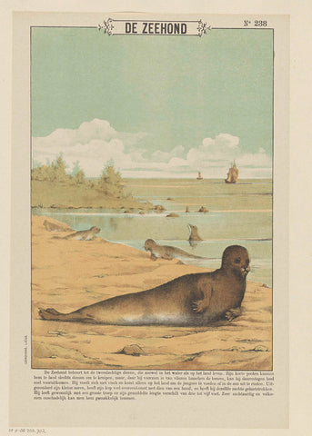 The seal, Gordinne, 1894 - 1959 Canvas Print