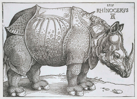 Rhinoceros, Albrecht Dürer, 1618 - 1622 Canvas Print