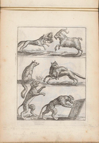 Foxes, ram, leopard and tiger, anonymous, 1635 - 1660 Canvas Print