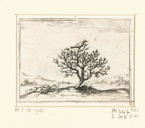 Nightingale on a bush, Jacques Callot, 1621 - 1635 Canvas Print