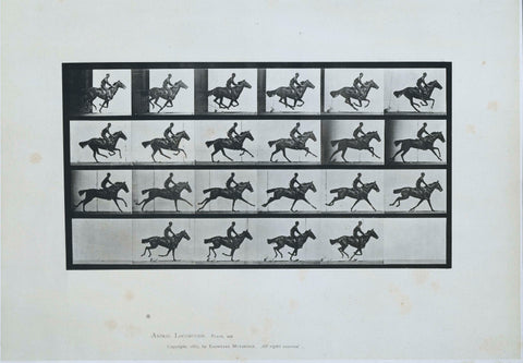 ‘Bouquet’, Galloping, Eadweard Muybridge, 1887 Canvas Print