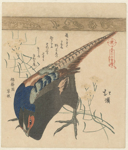 Pheasant, Totoya Hokkei, c. 1890 - c. 1900 Canvas Print